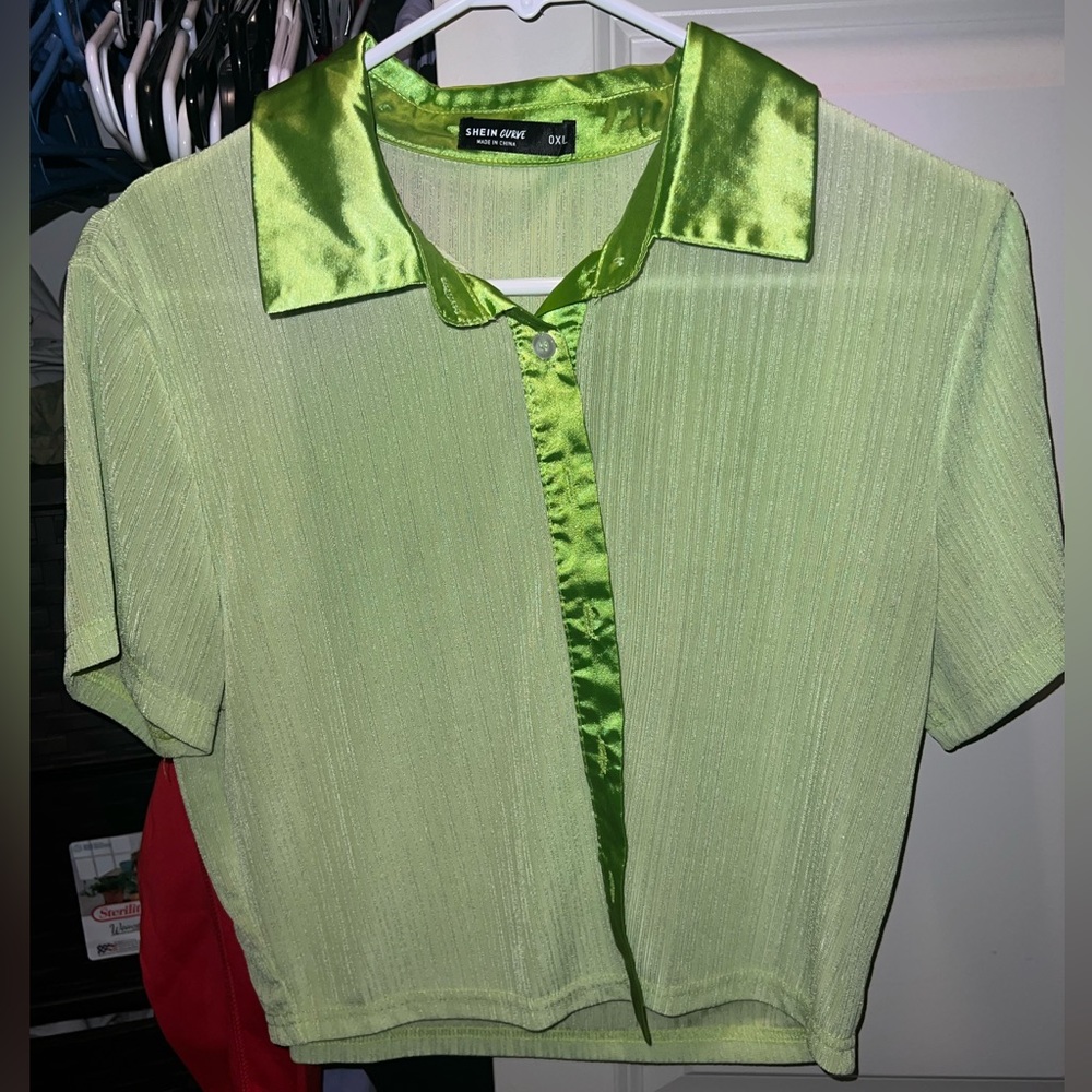 Crop button down sheer blouse